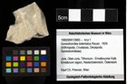 Foto (Objekt + Etiketten) von Goniodromites bidentatus (Reuss, 1859) 